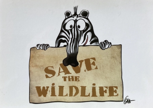 Save the wildlife